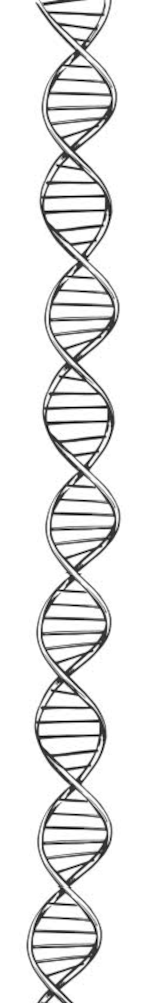 Vertical black and white illustration of an elongated DNA double helix with evenly spaced twisting loops and ladder-like internal lines.